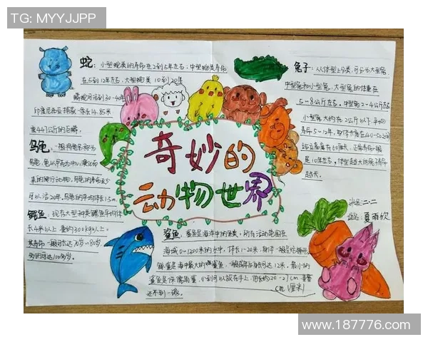 姚明与动物世界的奇妙邂逅探索人与自然的和谐共生之旅